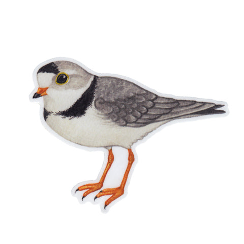 Wholesale Vinyl Sticker: Piping Plover