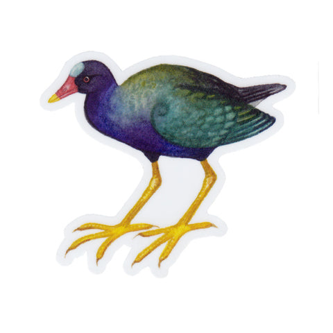 Wholesale Vinyl Sticker: Purple Gallinule