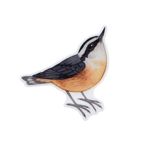 Wholesale Vinyl Sticker: Red-breasted Nuthatch