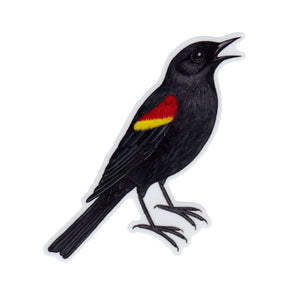 Wholesale Vinyl Sticker: Red-winged Blackbird