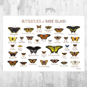 Wholesale Butterflies Field Guide Art Print: Rhode Island