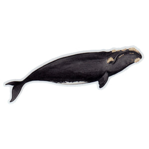 Wholesale Vinyl Sticker: Right Whale