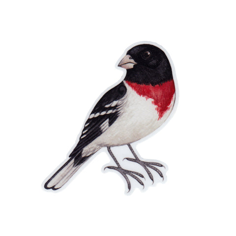 Wholesale Vinyl Sticker: Rose-breasted Grosbeak