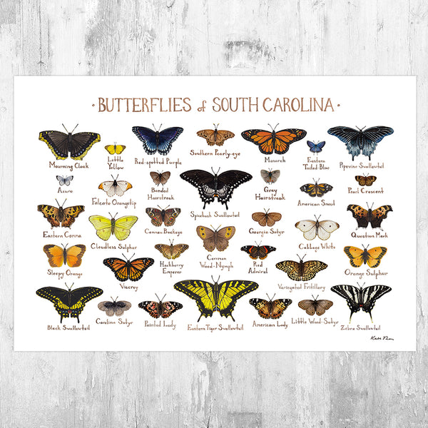 Wholesale Butterflies Field Guide Art Print: South Carolina