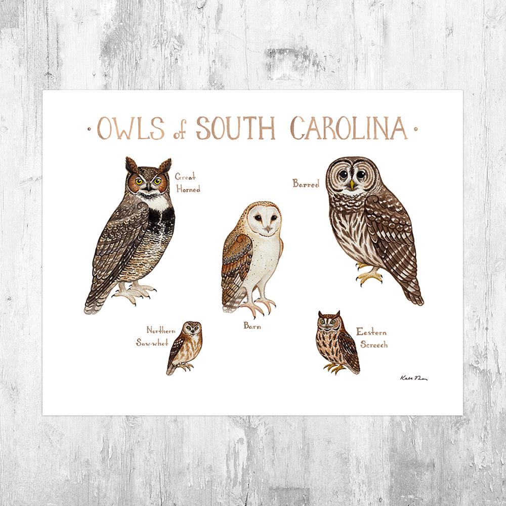 Wholesale Owls Field Guide Art Print: South Carolina