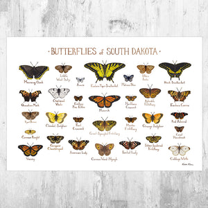 Wholesale Butterflies Field Guide Art Print: South Dakota