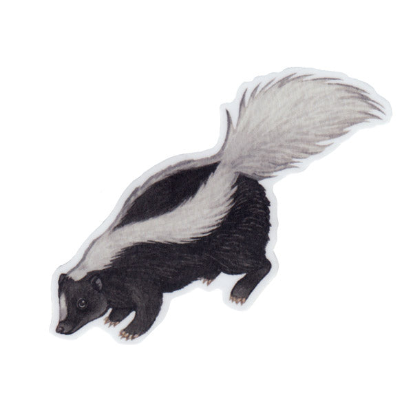 Wholesale Vinyl Sticker: Striped Skunk