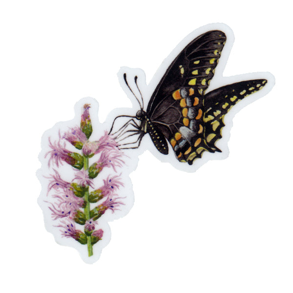 Wholesale Vinyl Sticker: Swallowtail on Blazing Star
