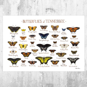 Wholesale Butterflies Field Guide Art Print: Tennessee