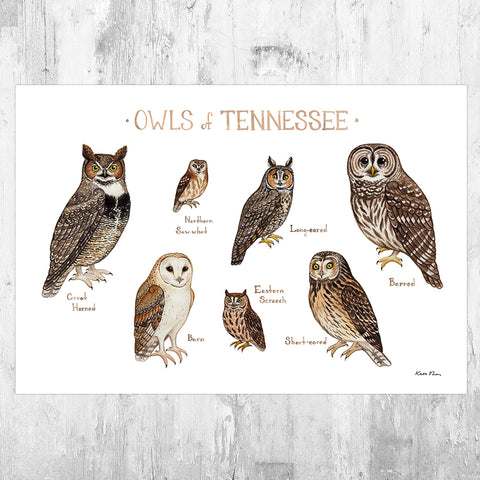 Wholesale Owls Field Guide Art Print: Tennessee