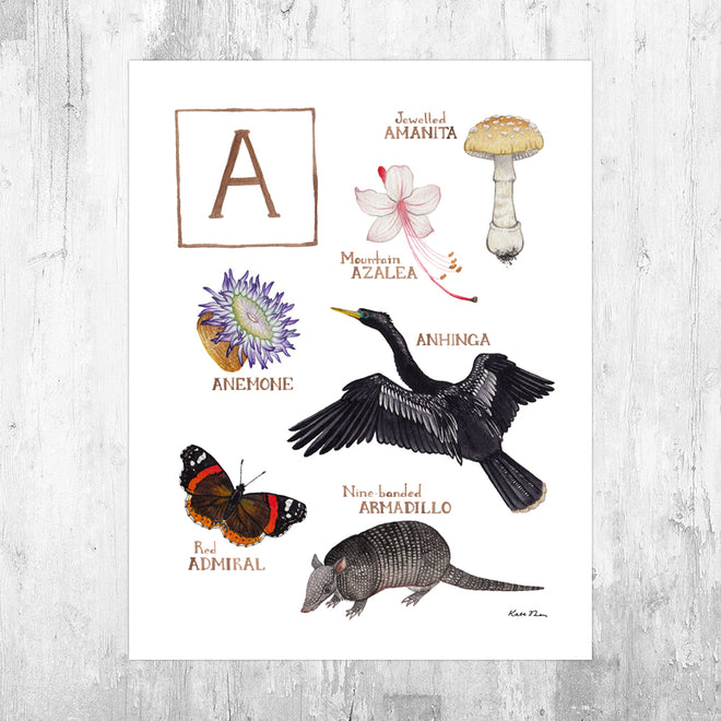 Nature Alphabet Art Prints