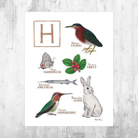Wholesale Field Guide Art Print: The Letter H