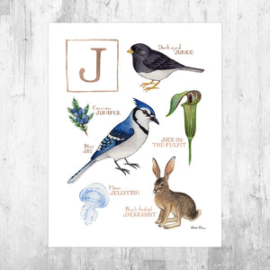 Wholesale Field Guide Art Print: The Letter J