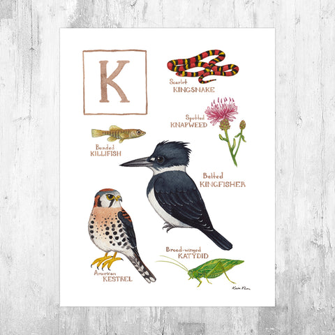 Wholesale Field Guide Art Print: The Letter K