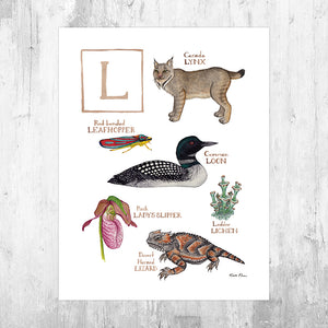Wholesale Field Guide Art Print: The Letter L