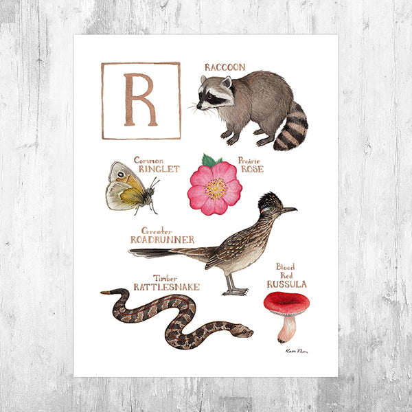 Wholesale Field Guide Art Print: The Letter R