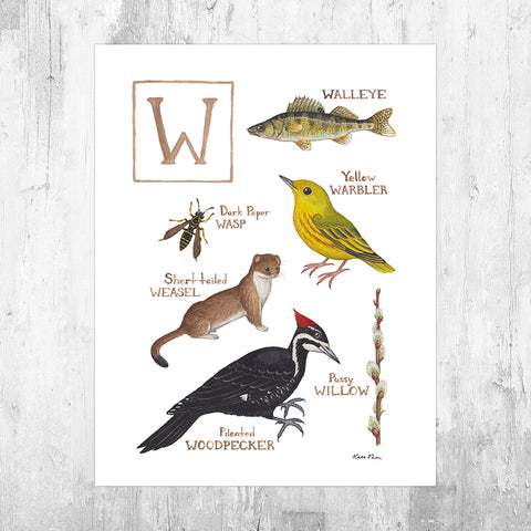 Wholesale Field Guide Art Print: The Letter W