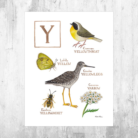 Wholesale Field Guide Art Print: The Letter Y