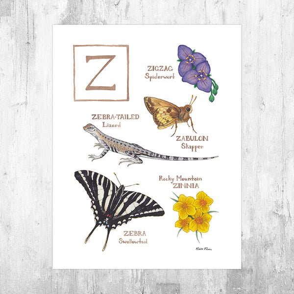 Wholesale Field Guide Art Print: The Letter Z