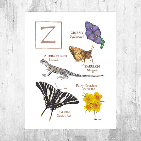 Wholesale Field Guide Art Print: The Letter Z