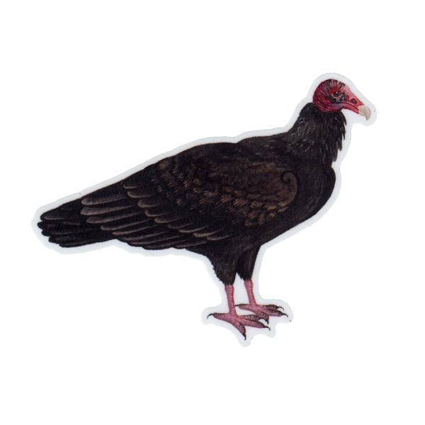 Wholesale Vinyl Sticker: Turkey Vulture