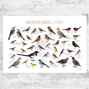 Wholesale Backyard Birds Field Guide Art Print: Utah