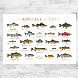 Wholesale Freshwater Fish Field Guide Art Print: Utah