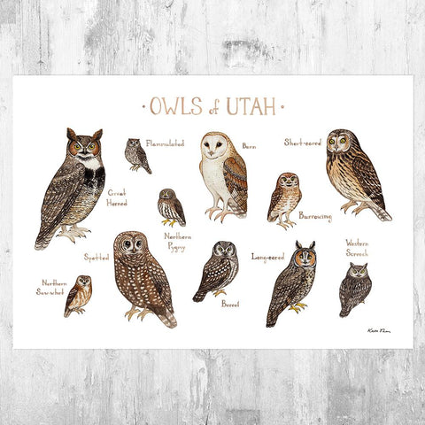 Wholesale Owls Field Guide Art Print: Utah