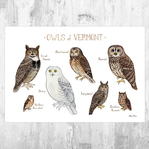 Wholesale Owls Field Guide Art Print: Vermont