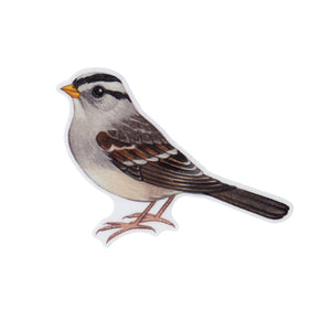 Wholesale Vinyl Sticker: White-crowned Sparrow