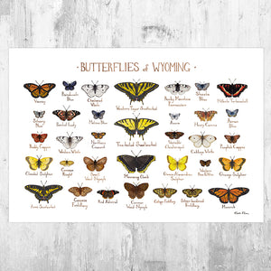 Wholesale Butterflies Field Guide Art Print: Wyoming