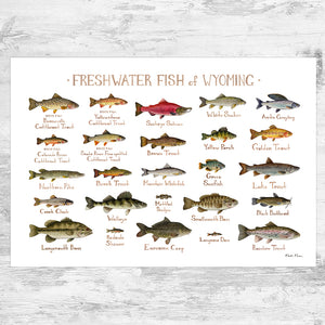 Wholesale Freshwater Fish Field Guide Art Print: Wyoming
