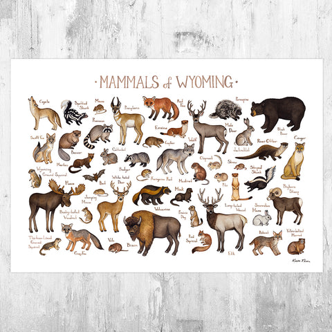 Wholesale Mammals Field Guide Art Print: Wyoming