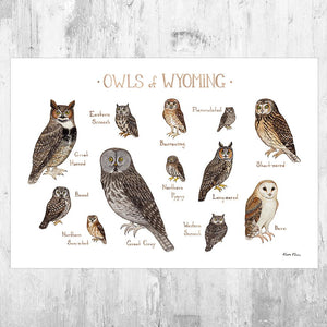 Wholesale Owls Field Guide Art Print: Wyoming