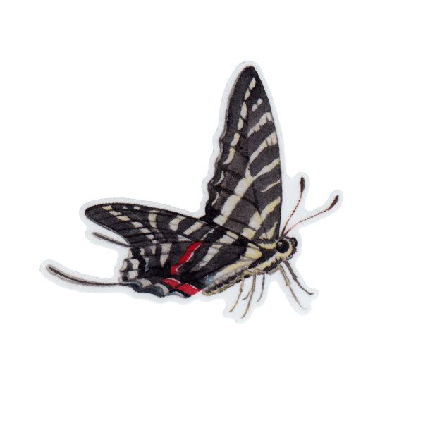 Wholesale Vinyl Sticker: Zebra Swallowtail
